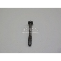 Болт VAG Allroad quattro (2000 - 2005) 8D0845643G