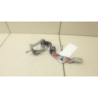 Петля двери багажника VAG A3 [8PA] Sportback (2004 - 2013) 8P4827299B