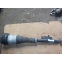 Амортизатор левый задняя w222 a2223200313