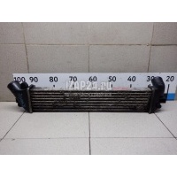 Интеркулер Renault Kangoo (2003 - 2008) 8200732384