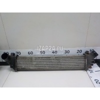 Интеркулер Renault Kangoo (2003 - 2008) 8200221885