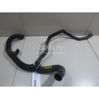 Шланг системы охлаждения Renault Kangoo (2003 - 2008) 8200331306