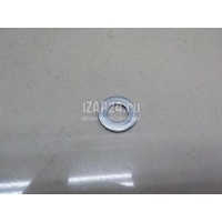 Шайба Renault Logan (2005 - 2014) 6001547909