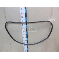 Уплотнитель двери Renault Megane II (2003 - 2009) 8200077500