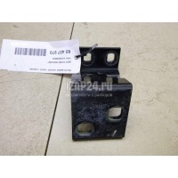 Петля двери задней левой нижняя BMW X5 E53 (2000 - 2007) 41528269845