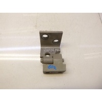 Петля двери задней левой нижняя BMW X5 E53 (2000 - 2007) 41528269845
