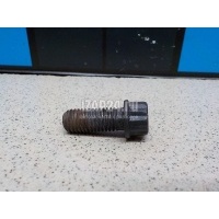 Болт BMW X5 E53 (2000 - 2007) 11652243402