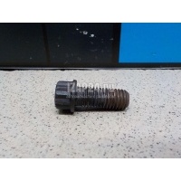 Болт BMW X5 E53 (2000 - 2007) 11652243402
