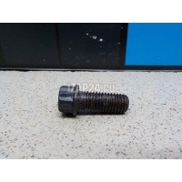 Болт BMW X5 E53 (2000 - 2007) 11652243402