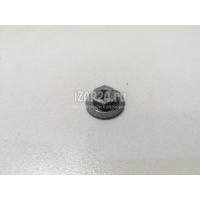 Гайка BMW X5 E53 (2000 - 2007) 07129905411