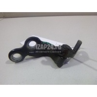 Петля двери передней Ford Focus I (1998 - 2005) 4089739