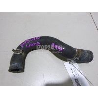 Патрубок радиатора Suzuki Liana (2001 - 2007) 1785254G00