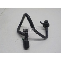 Шланг вакуумного усилителя тормоза VAG Passat [B6] (2005 - 2010) 3C0612041BL