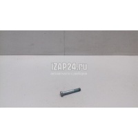 Болт заднего рычага VAG Golf Plus (2005 - 2014) N10170803