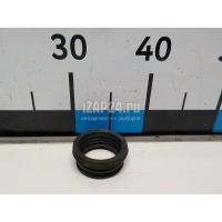 Прокладка воздушного фильтра VAG Golf Plus (2005 - 2014) 036129625H
