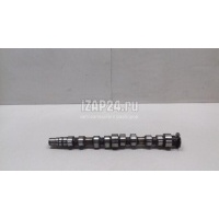 Распредвал выпускной VAG A2 [8Z0] (2000 - 2005) 036109101AA