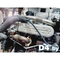 Охладитель отработанных газов Audi A3 2005 038131513ad