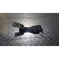 Педаль акселератора Mercedes-Benz GL-class X164 (2006-2012) 2006 1643000004