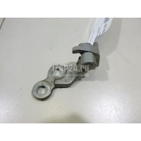 Петля двери передней Ford Focus I (1998 - 2005) 4089739