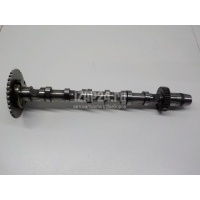 Распредвал впускной VAG Q7 [4L] (2005 - 2015) 059109021DS