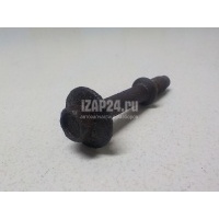 Болт подвески глушителя Renault Scenic II (2003 - 2009) 8200497904