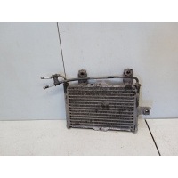 Радиатор АКПП Kia Magentis 2 MG 2007 254602G100