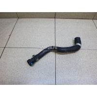 Патрубок отопителя Ford Fiesta (2001 - 2008) 1547685