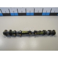 Распредвал выпускной Nissan Teana J32 (2008 - 2013) 13020JN00D