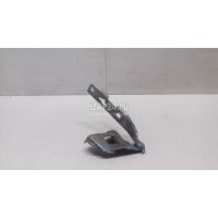 Петля капота левая VAG A5/S5 [8T] Coupe/Sportback (2007 - 2016) 8T0823301E