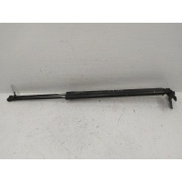 Амортизатор крышки багажника (3-5 двери) Renault Scenic III (2009-2012) 2010 904517337R