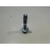 Болт опоры Renault Koleos (HY) (2008 - 2016) 550825110R