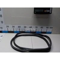 Уплотнитель стекла двери Renault Scenic (1999 - 2003) 8200041509