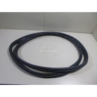 Уплотнитель двери Renault Megane II (2003 - 2009) 8200077500