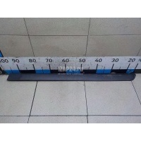 Молдинг задней левой двери Hyundai-Kia Matrix (2001 - 2010) 8773117000CA