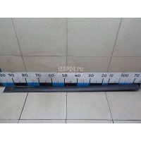 Молдинг передней правой двери Hyundai-Kia Matrix (2001 - 2010) 8772217000CA