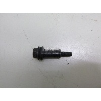Болт впускного коллектора VAG Touareg (2002 - 2010) 070128773A