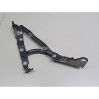 Петля крышки багажника Volvo S40 (2004 - 2012) 30716248