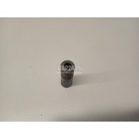 Втулка (кузов внутри) Ford Focus II (2008 - 2011) 1255932