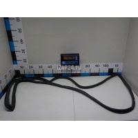 Уплотнитель двери Mitsubishi Pajero/Montero IV (V8, V9) (2007 - 2021) MR437161