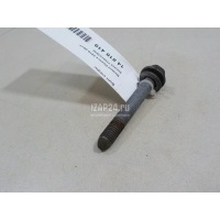 Болт опоры Renault Sandero (2009 - 2014) 7703101630