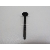 Саморез VAG Polo (Sed RUS) (2011 - 2020) WHT000425