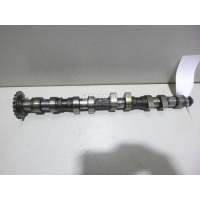 Распредвал выпускной VAG Alhambra (2000 - 2010) 058109022B