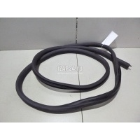 Уплотнитель двери Renault Duster 2012 808329099R