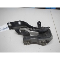 Петля капота правая GM Captiva (C140) (2011 - 2016) 95049937