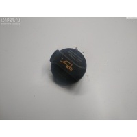 Пробка маслозаливная Audi A4 B6 (2001-2004) 2004 06B103485B