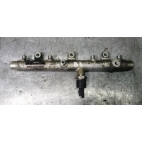 Топливная рампа Citroen C5 2001 0445214019