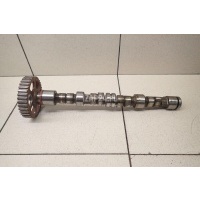 Распредвал Renault Logan (2005 - 2014) 8200881281