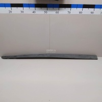 Молдинг передней левой двери Renault Megane II (2003 - 2009) 8200574616