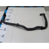 Патрубок радиатора Ford C-MAX (2003 - 2010) 1386711