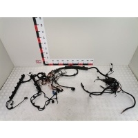 Проводка (жгут проводов) BMW X5 (E70) (2007-2013) 2007 ,12517559824